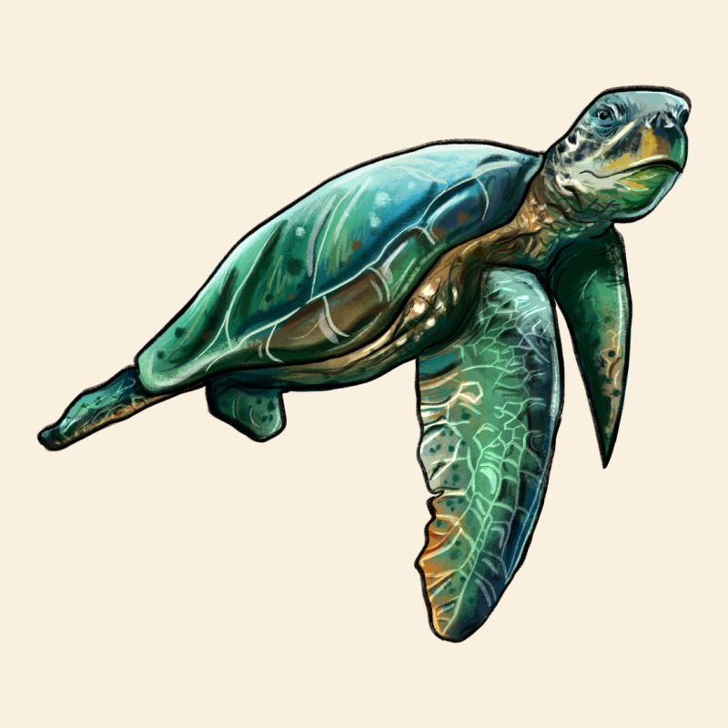 Sea Turtle Vintage Hoodie by Artiststas | Teevron