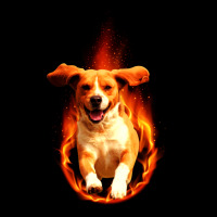 Dog In Fire Heavy Core Tee | Teevron