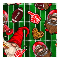 american football gnomes | Teevron
