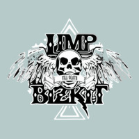 Limp Bizkit Essential Heavy Core Tee | Teevron
