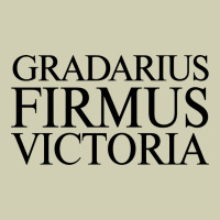 Gradarius Firmus Victoria Heavy Core Tee | Teevron