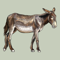 American Mammoth Jackstock Donkey Long Sleeve Tee | Teevron