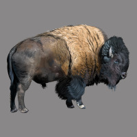 Bison Buffalo Vintage Tee | Teevron