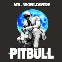 Merch Mr Worldwide Pit Bull Heavy Core Tee | Teevron