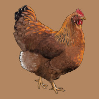 New Hampshire Red Chicken Long Sleeve Tee | Teevron