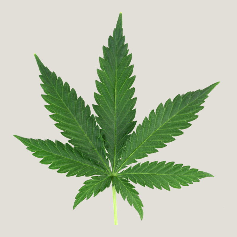 Weed Leaf Heavy Core Tee by artisFamous | Teevron