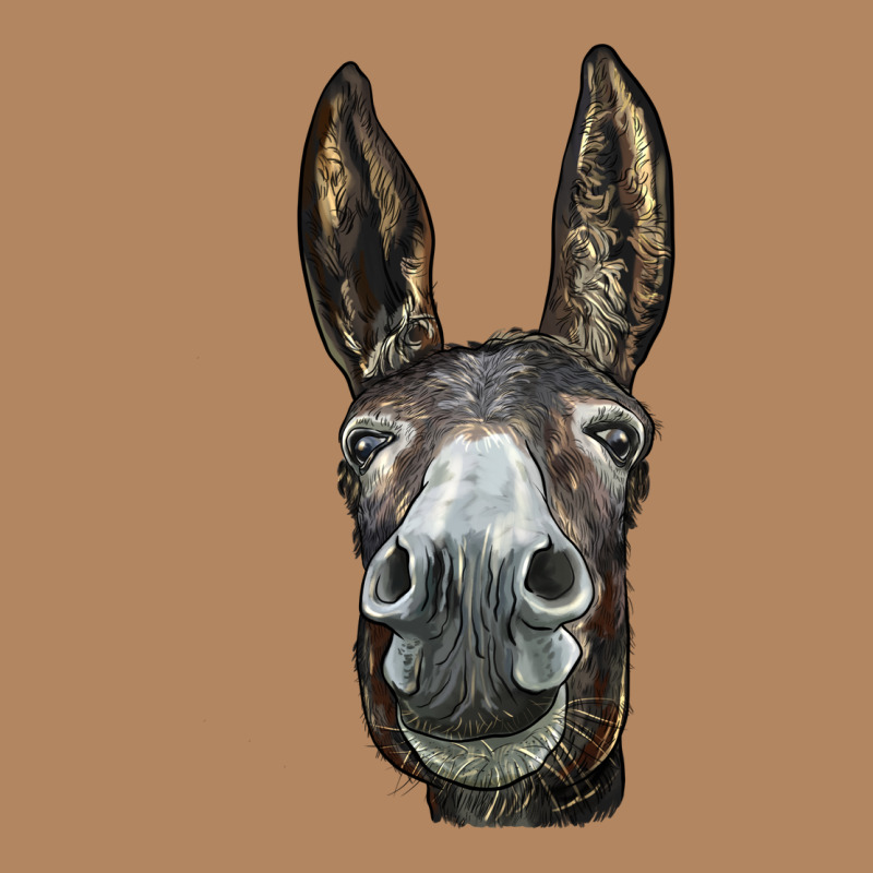 Donkey  Face Long Sleeve Tee by LillyAllenDesigns | Teevron