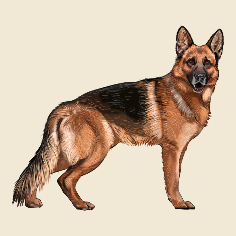 German Shepherd Dog Illustrations Ladies Tee by LillyAllenDesigns | Teevron