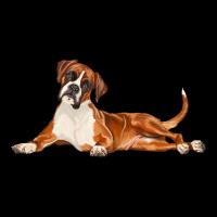 Boxer Dog Illustrations Ladies Tee | Teevron