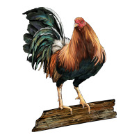 american game rooster standing | Teevron