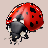 Ladybug Premium Hoodie | Teevron