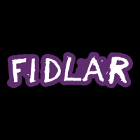 Fidlar Heavy Core Tee | Teevron
