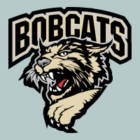 Bismarck Bobcats Heavy Core Tee | Teevron