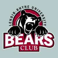 Lenoir Rhyne Gifts Heavy Core Tee | Teevron