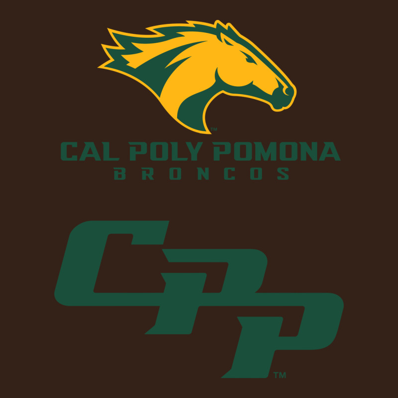 Cal Pol Pomona Heavy Core Tee by artisFamous | Teevron