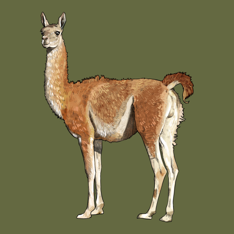 Guanaco Llama Long Sleeve Tee by LillyAllenDesigns | Teevron