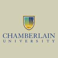 Chamberlain College Heavy Core Tee | Teevron