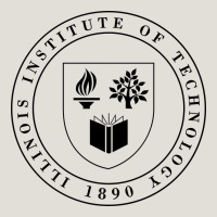 Illinois Institute Of Technology College Heavy Core Tee | Teevron