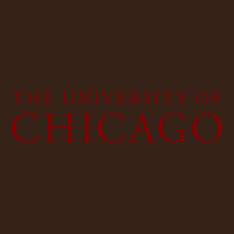 College Of Chicago Heavy Core Tee by artisFamous | Teevron