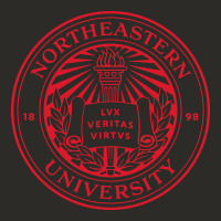 Northeastern University Heavy Core Tee | Teevron