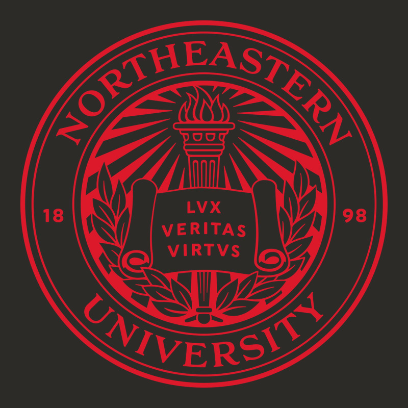 Northeastern University Heavy Core Tee by artisFamous | Teevron