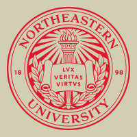 Northeastern University Heavy Core Tee | Teevron