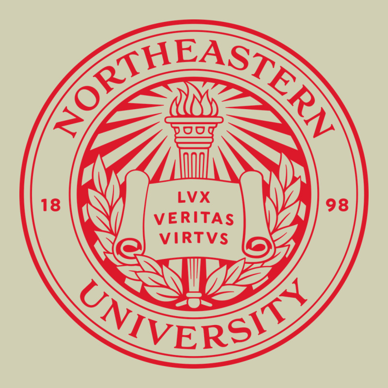 Northeastern University Heavy Core Tee by artisFamous | Teevron