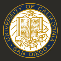 University Of California, San Diego Heavy Core Tee | Teevron