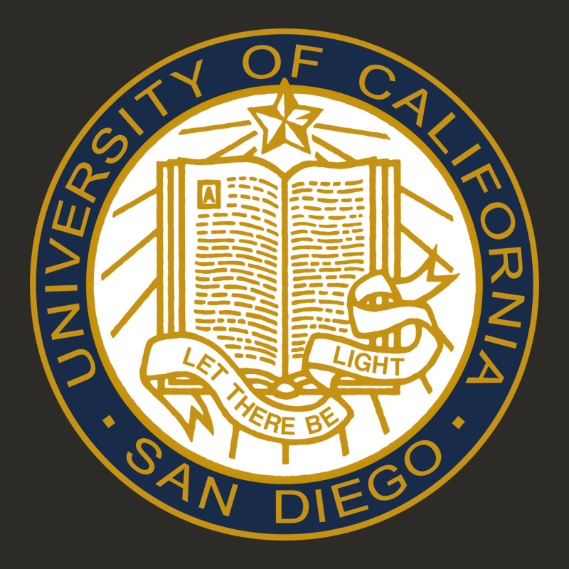 University Of California, San Diego Heavy Core Tee by artisFamous | Teevron