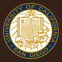 University Of California, San Diego Heavy Core Tee | Teevron