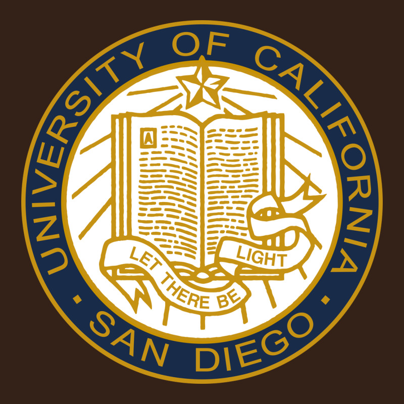 University Of California, San Diego Heavy Core Tee by artisFamous | Teevron