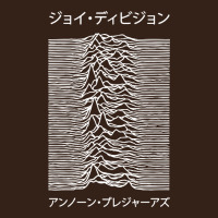 Joy Division Pleasures  Japanese Heavy Core Tee | Teevron