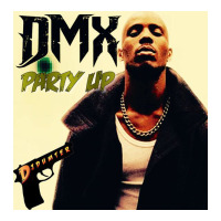 dmx | Teevron