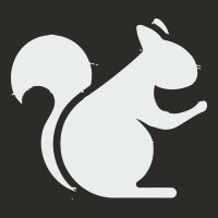 Squirrel Heavy Core Tee | Teevron
