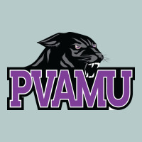 Prairie View A&m Panthers And Lady Panthers Heavy Core Tee | Teevron
