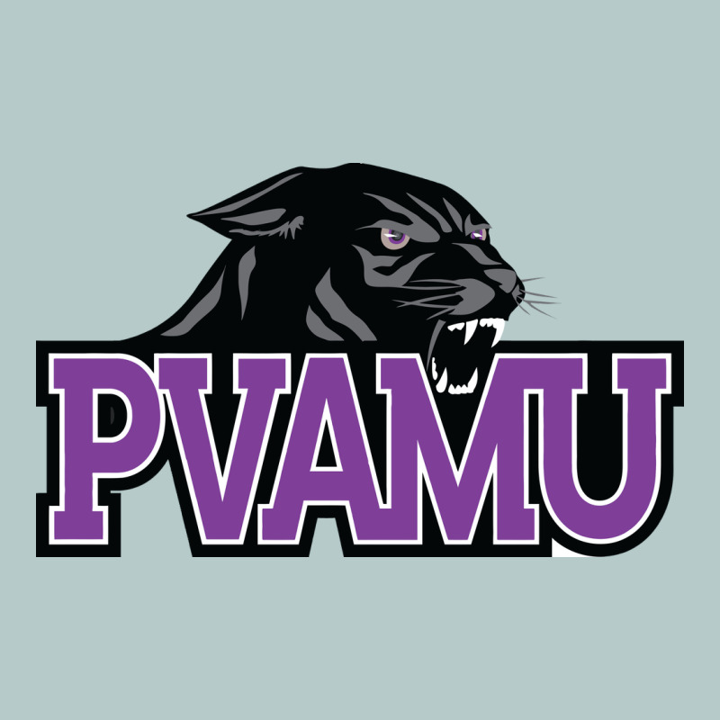 Prairie View A&m Panthers And Lady Panthers Heavy Core Tee by artisFamous | Teevron