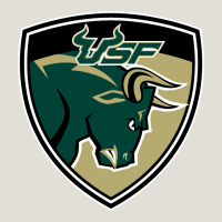 South Florida Bulls Heavy Core Tee | Teevron