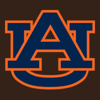 Auburn Tigers Heavy Core Tee | Teevron