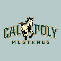Cal Poly Mustangs Heavy Core Tee | Teevron