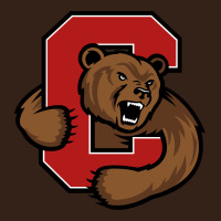 Cornell Big Red Heavy Core Tee | Teevron