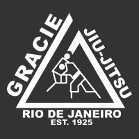 gracie jiu jitsu  2 | Teevron