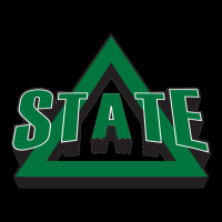 Delta State Athletics Heavy Core Tee | Teevron