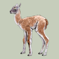 Guanaco Llama Baby Long Sleeve Tee | Teevron