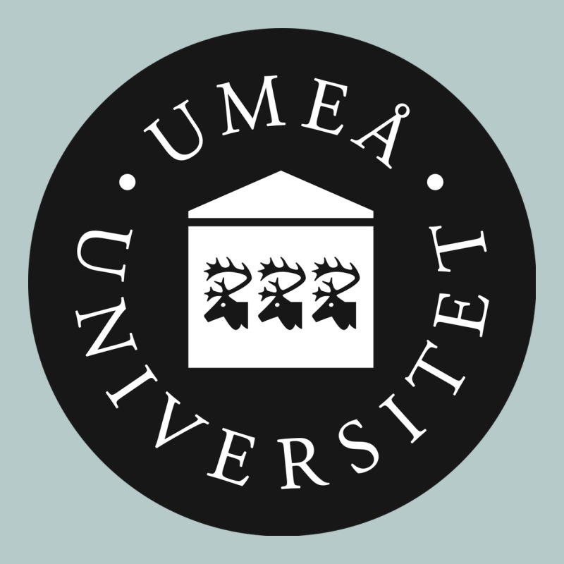 Umeå University Heavy Core Tee by artisFamous | Teevron