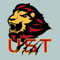 University Of Saint Thomas Spirit Heavy Core Tee | Teevron