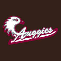 Augsburg University Heavy Core Tee | Teevron