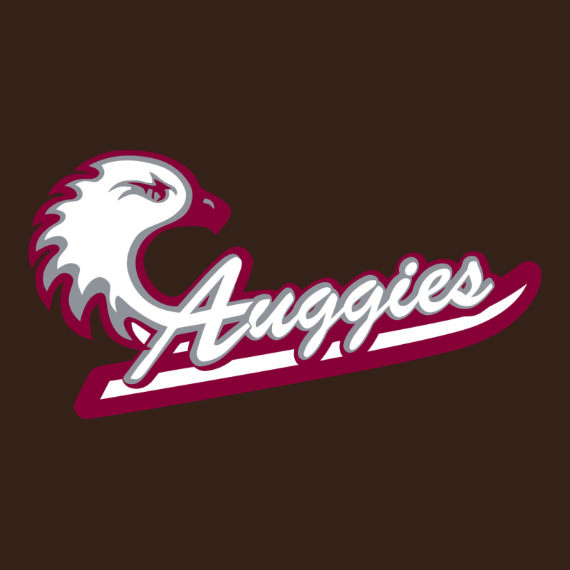 Augsburg University Heavy Core Tee by artisFamous | Teevron