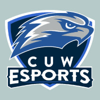 Concordia University Wisconsin Heavy Core Tee | Teevron