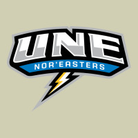 New England University Heavy Core Tee | Teevron