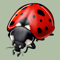 Ladybug Urban Heavy Tee | Teevron